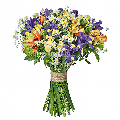 Полевые цветы в Пензе по цене 4907 руб. - доставка цветов от службы  Flowers-sib.ru